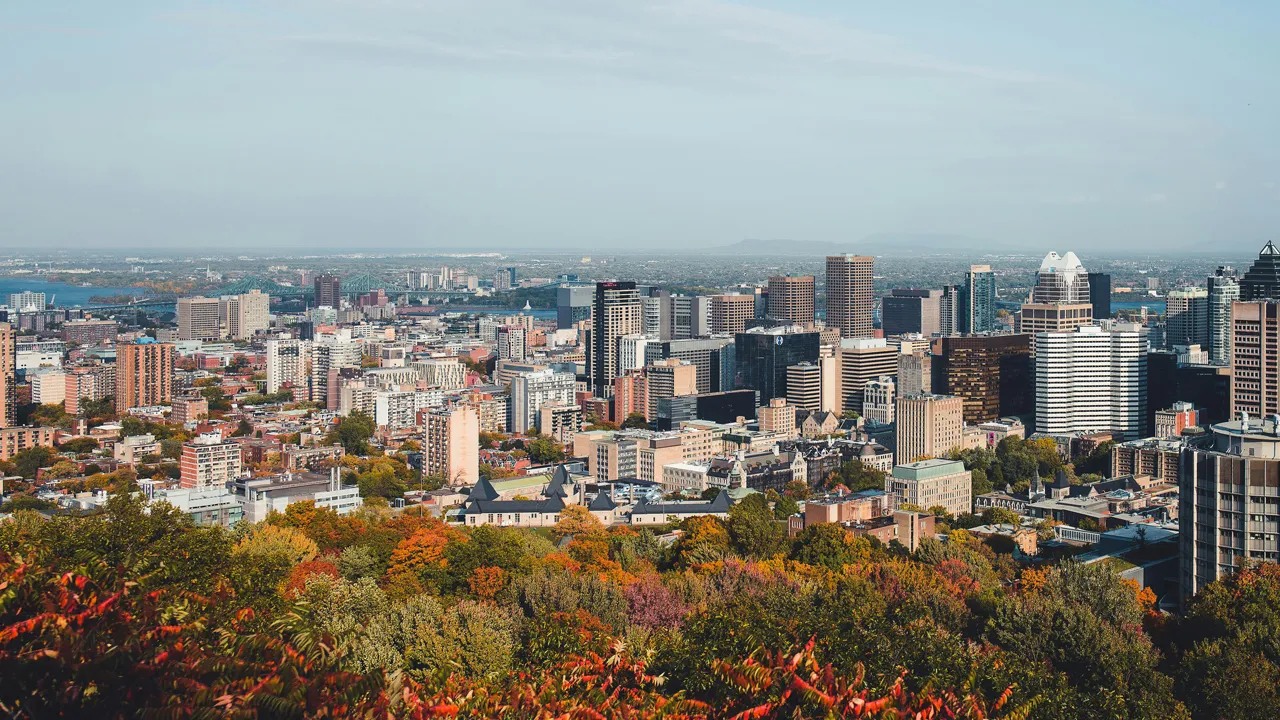 Montreal Color Palette